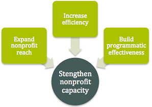nonprofit capacity