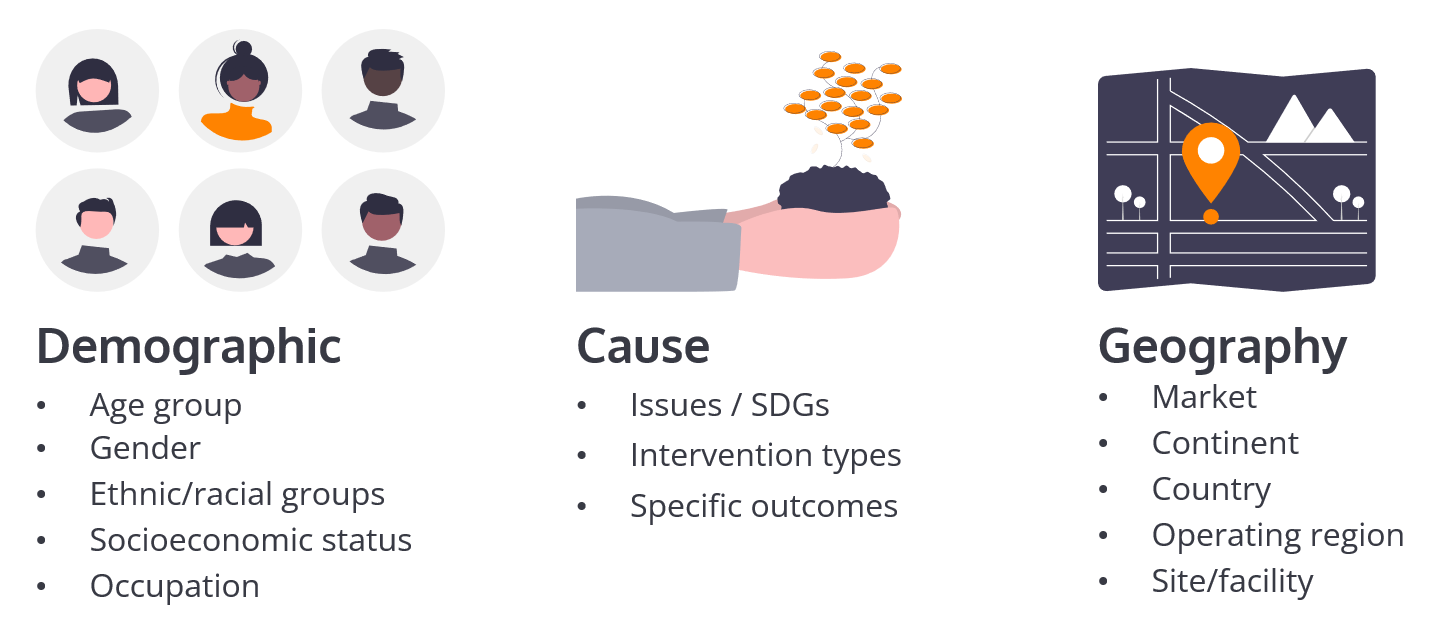 Alignment categories of Geography (Market, Continent, Country, Operating region, Site/facility); Demographic (Age group, Gender, Ethnic/racial groups, Socioeconomic status, Occupation); and Cause (Issues/SDGs, Intervention types, Specific outcomes.)