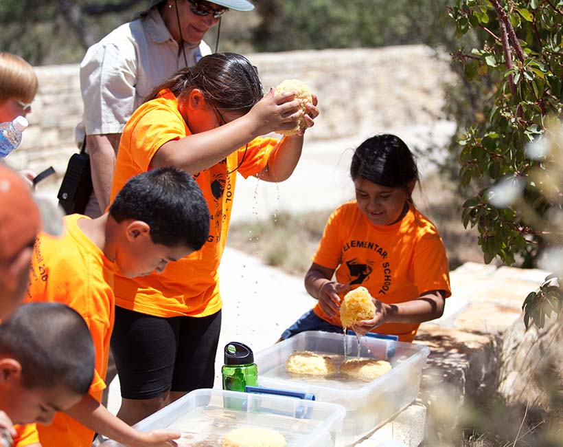 Kids on field trip exploring sea sponges