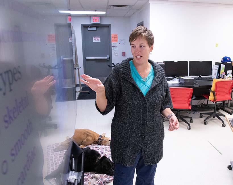 Woman at whiteboard teaching class